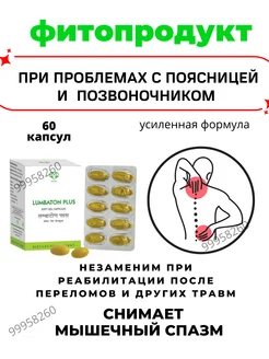 Lumbaton Plus 60капсул Боли в спине Лумбатон Плюс 99958260 купить за 1 180 ₽ в интернет‑магазине Wildberries